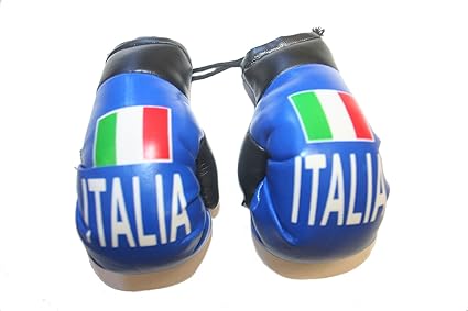 italian boxing gloves for car