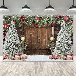 Lofaris Winter Christmas Backdrop Xmas Photography