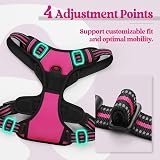 rabbitgoo Small Dog Harness No Pull Reflective Rose Red Easy Control Handle view 5