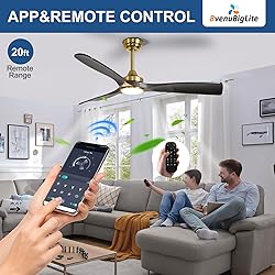 BvenuBigLite Ceiling Fan with Light Modern: 52 Inch