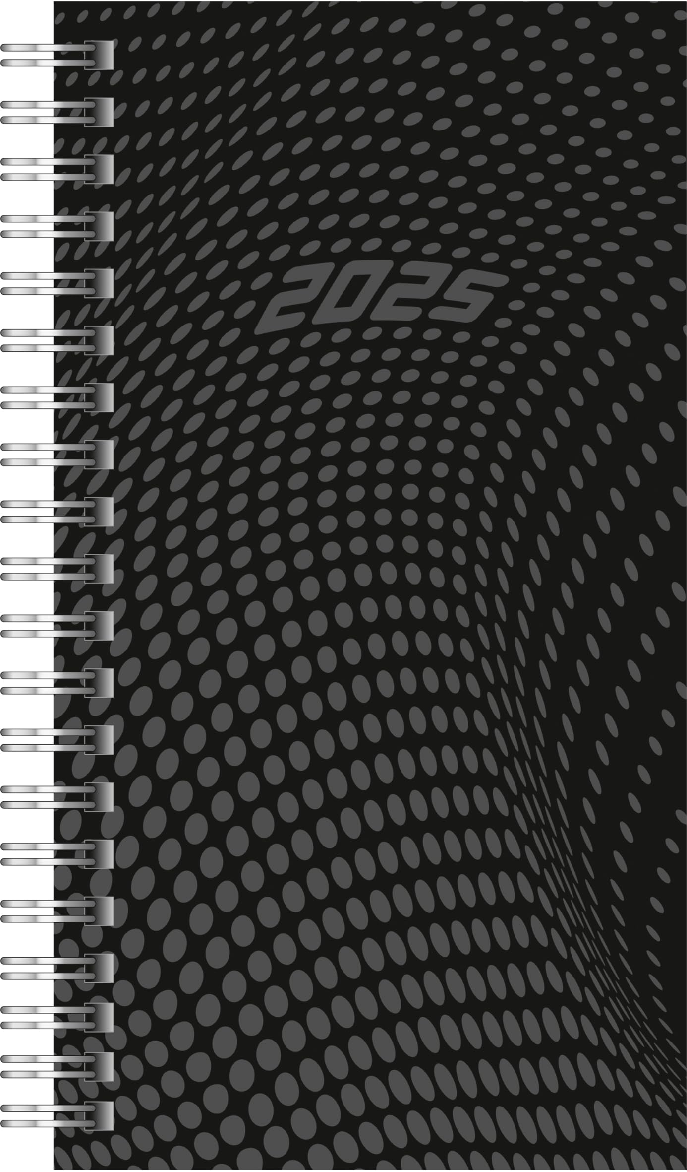 rido/idé Pocket Diary Model Timing 2 (2025), 2 Pages = 1 Week, A6, 176 Pages, PP Cover, Black