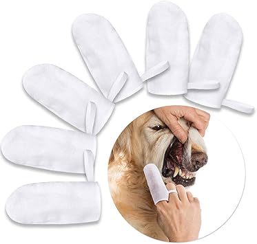 finger brush for cats