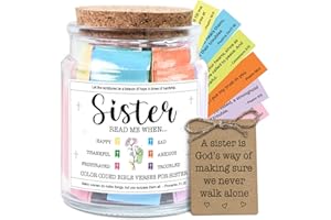 NewEleven Sister Christmas Gifts - Inspirational, Birthday Gift For Sister, Sisters In Law, Soul Sis - Sisters Gifts From Sister, Brother, Friend, Family - Bible Verse Jar