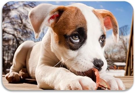 Amazon Rosventurかわいいわんわん子犬の足は超吸収性滑り止めマット 面白い玄関マット 屋内 屋外装飾敷物玄関マットにようこそ 60x40cm 玄関マット オンライン通販