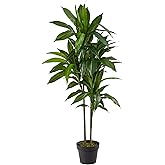 Nearly Natural 48in Artificial Dracaena with Real Touch Leaves and Multi Tonal Trunks, Large Indoor Silk Plant with Pot, Maintenance Free For Living Room And Home Office Decor