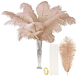 VIJIV Natural Large Ostrich Feathers Bulk 10 Pieces