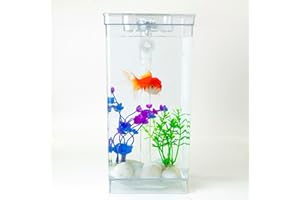 ODOTTAA My First Fish Tank™ 1 Gallon Mini Small Fish Tank, Easy Maintenance, Self Cleaning-no Need Power, No Noise, with LED Light, Beautiful White Pebbles, Perfect Starter Kit for Kids