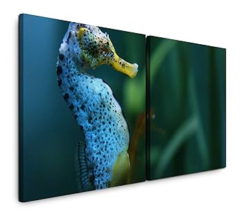 Paul Sinus Art GmbH Seepferd Unterwasser 120x60cm - 2 Wandbilder je 60x60cm Kunstdruck modern Wandbilder XXL Wanddekoration D