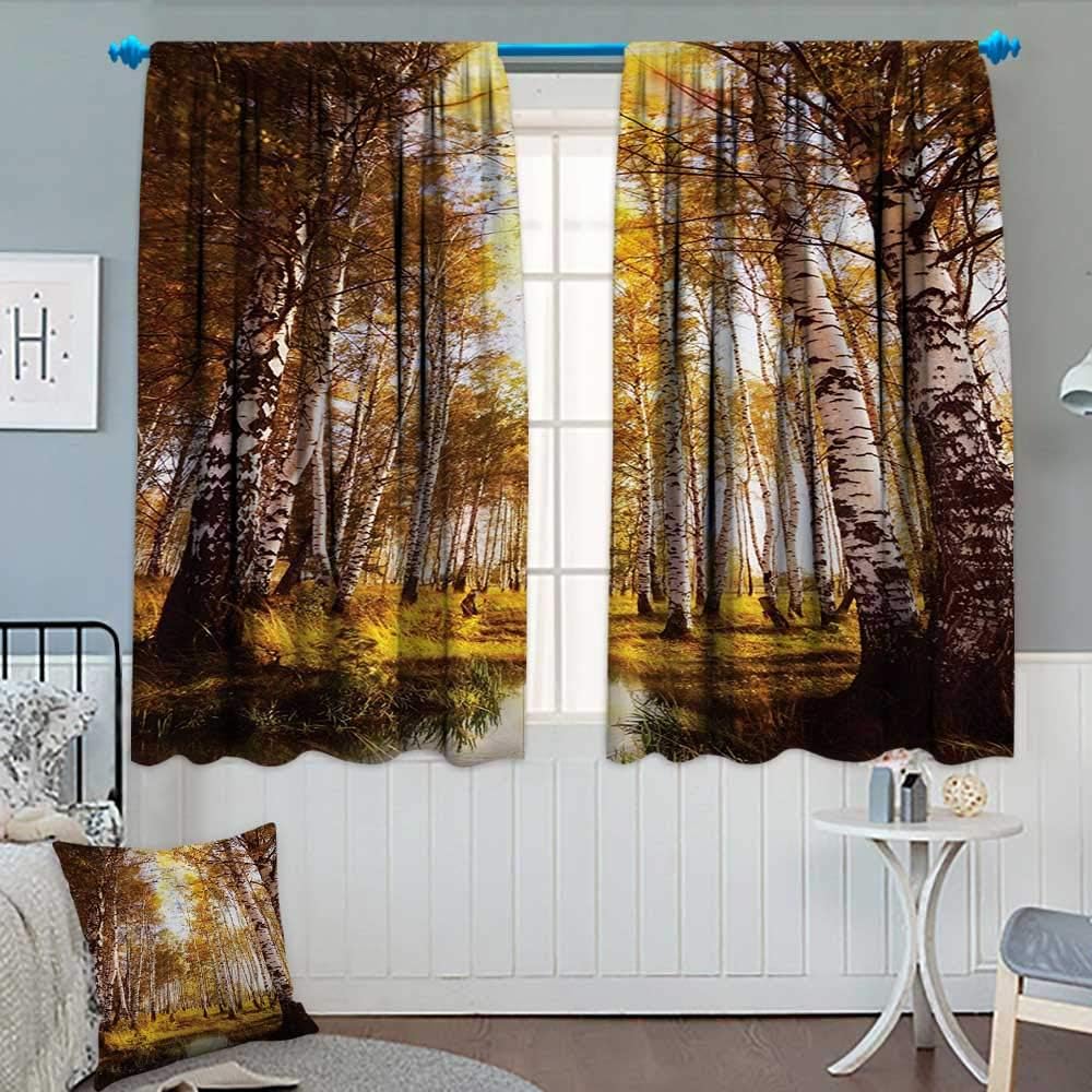 Tree,Blackout Curtain,Autumn Season Forest in Sun Rays Near The River