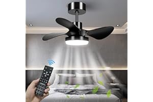 MEFINE Black Ceiling Fans with Lights and Remote, 25 Inch Indoor Outdoor Dimmable Ceiling Fans with Light, 3 Blades Modern Ceiling Fan Light with DC Motor for Bedroom, Living Room, Kitchen, Office