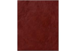 NPBAG Leather Repair Patch Kit 10 x 12 Inches, Self-Adhesive Leather Tape Upholstery Vinyl Sticker for Couches, Sofa, Furniture, Car Seats, Bags, Jackets (Crazy Horse)