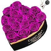 Casaido Preserved Roses Flowers for Delivery 16 Pcs, Vanlentines Day Gift for Her, Forever Flores in Heart Box with Necklace, Anniversary Birthday Christmas Rose Gift for Women Wife Girlfriend, Purple