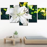 SIGNWIN 5 Panel Canvas Wall Art Flora Snapshot for Home Decorations Ready to Hang - 60