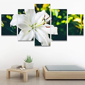 SIGNWIN 5 Panel Canvas Wall Art Flora Snapshot...