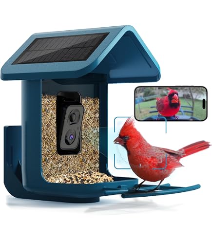 Smart Bird Feeder – Intelligenter Vogelfutterautomat Mit Kamera & App, Für Garten-Vogelbeobachtung
