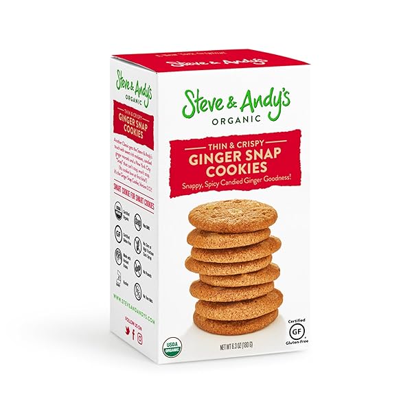 STEVE & ANDY’S ORGANIC GINGERBREAD COOKIES, 5.5 OZ