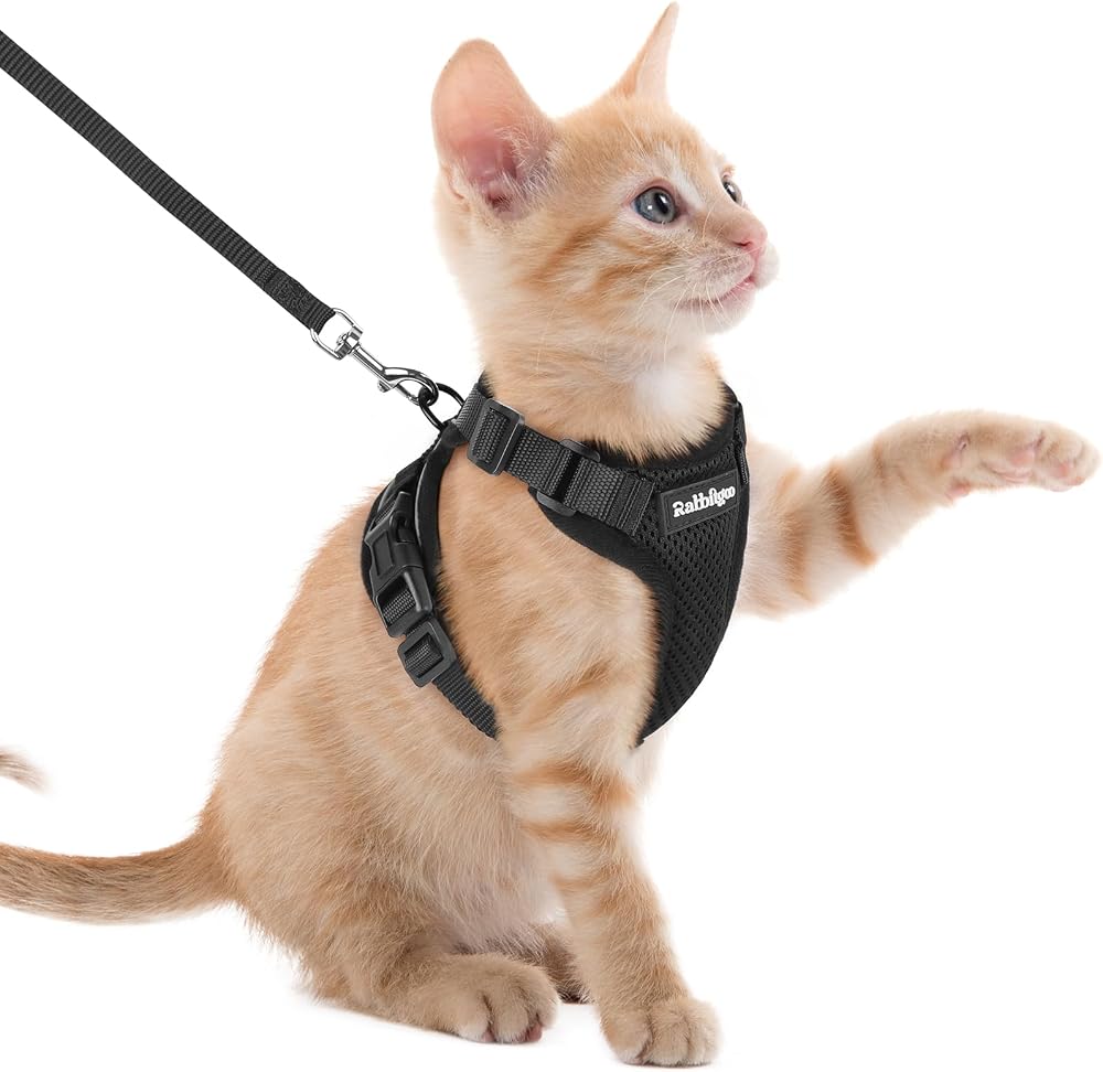 rabbitgoo Cat Harness and Lead Set XXS Adjustable Escape Proof Reflective Black