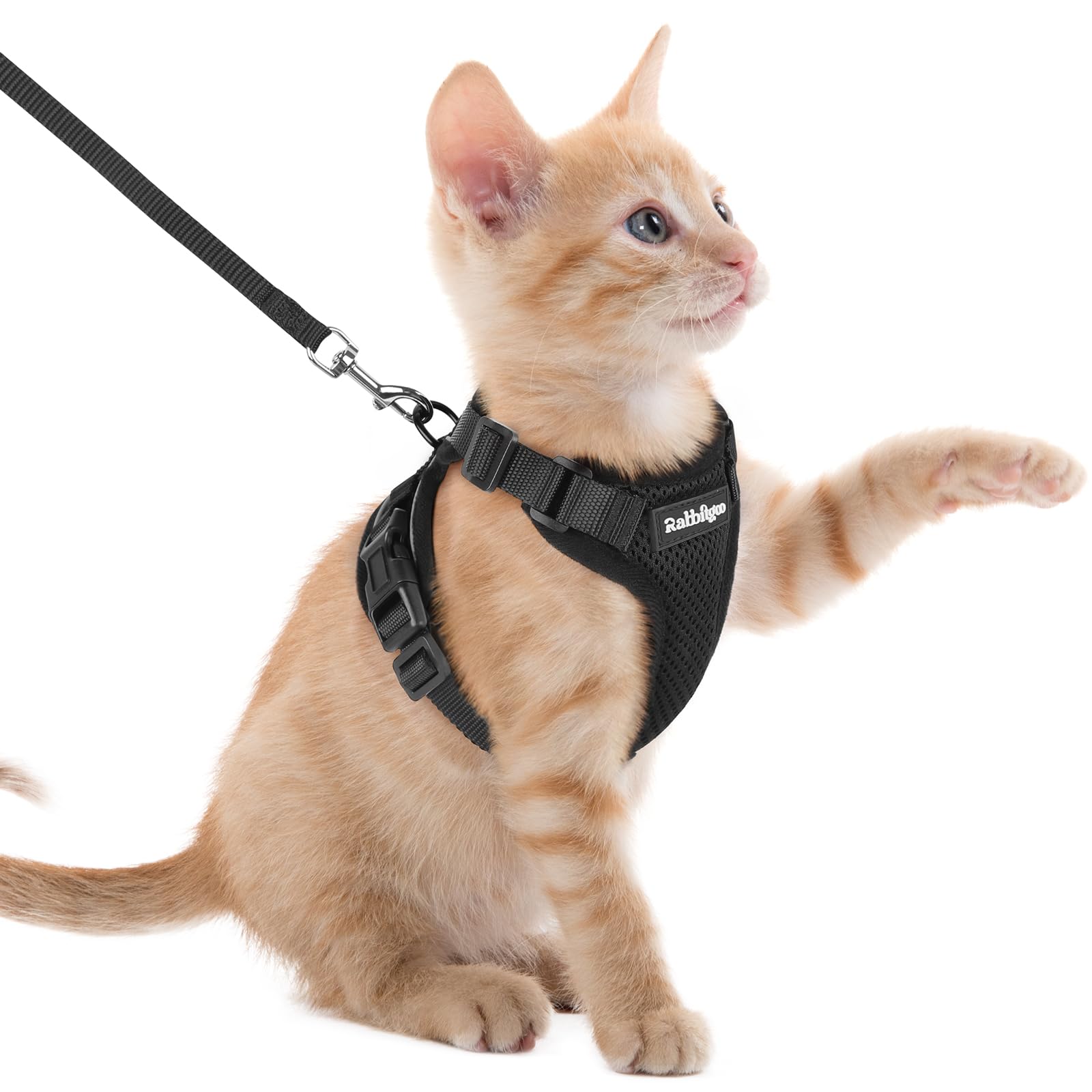 rabbitgoo Cat Harness and Lead Set, Adjustable Escape Proof Cat Lead for Walking, Reflective Kitten Harness Set, Soft and Comfortable for Kittens and Small Cats, Black, XXS — image 1
