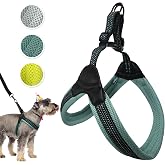 Sporn Easy-Fit Mesh Dog Harness Medium Sized Dog, Turquoise Soft Fabric Nylon No Choke Dog Harness Size Dog, Breathable &amp; Easy Dog Walking Harness, Provides to Medium Breeds
