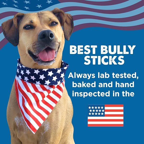 BEST BULLY STICKS MARROW BONES – 3 COUNT (PACK OF 1) – USA PACKED, HEALTHY SNACK, GRASS-FED BEEF, LONG-LASTING, GREAT FOR LARGE BREEDS