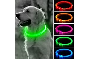 BSEEN Light Up Dog Collar - LED Dog Collar Rechargeable, Glowing Pet Collars for Small Medium Large Dogs, TPU Cuttable Lighted Puppy Collar, Safety Dog Lights for Night Walking (Green 70cm)