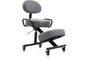DR.LOMILOMI Ergonomic Kneeling Chair with Backrest, Improve Posture, Thick Cushions, Locking Wheels for Home & Office, AKONI 512 (with Back, Dim Grey)