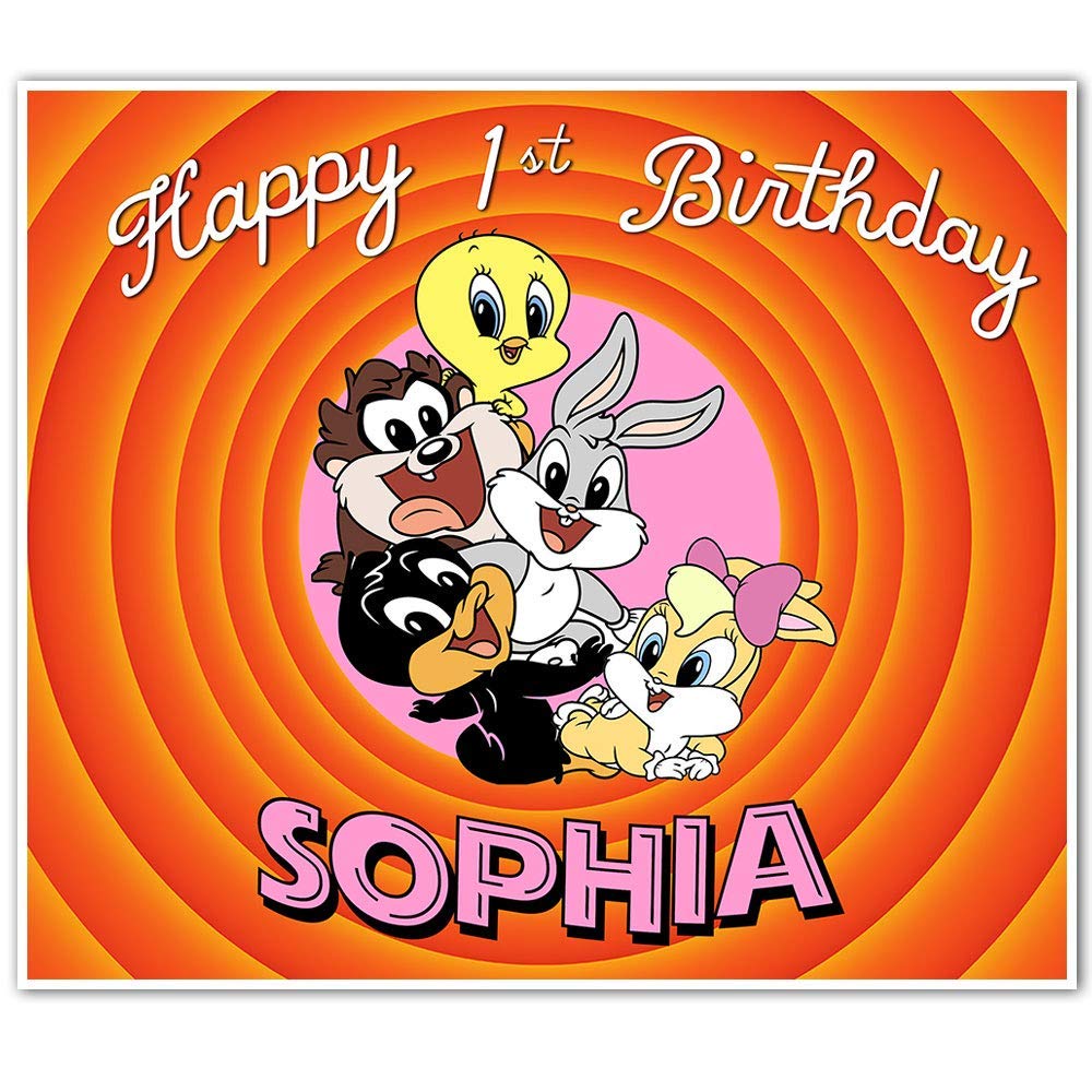 Amazon Com Baby Looney Tunes Birthday Banner Pink Background