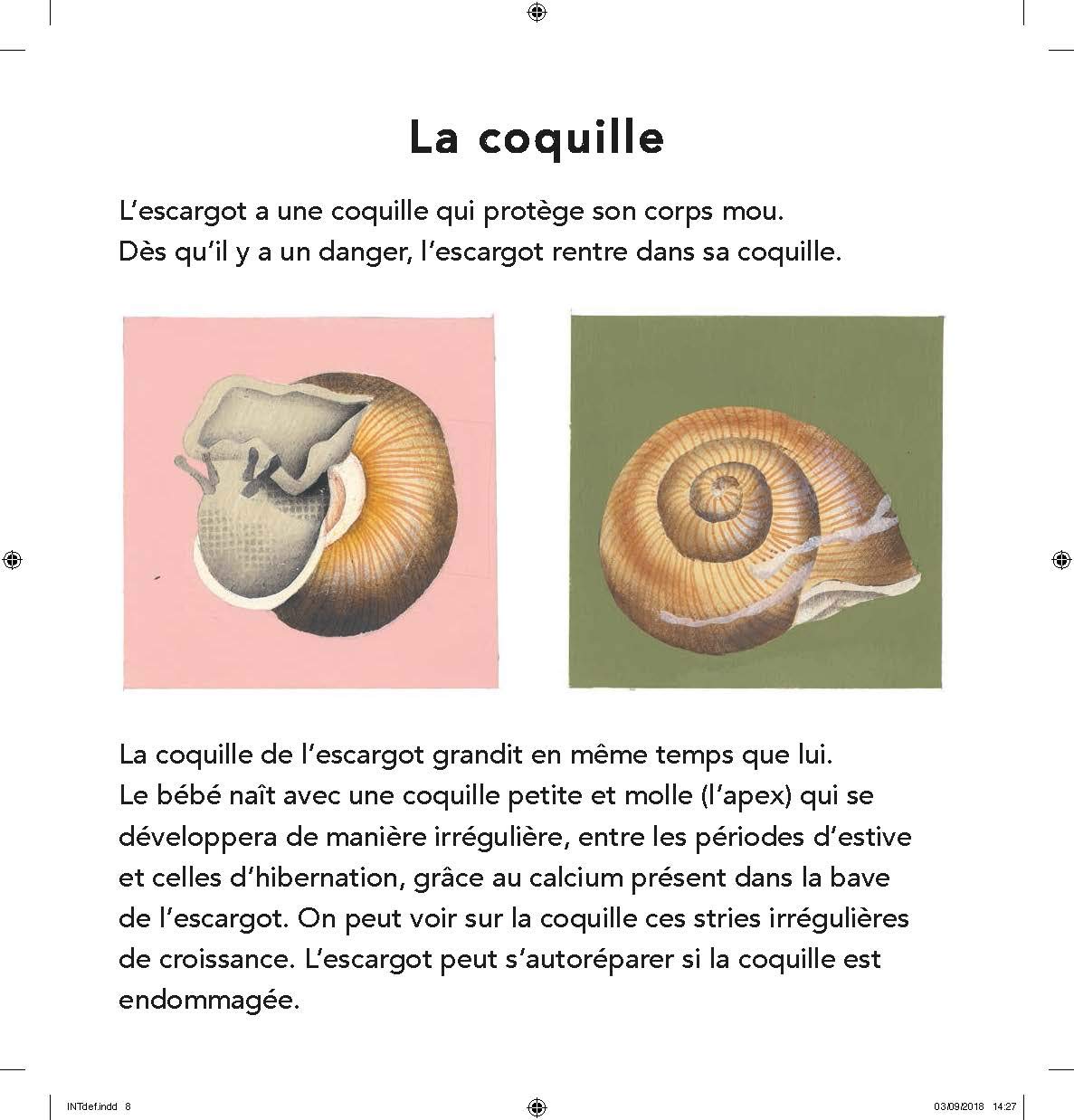 Amazon Com L Escargot French Edition Gervais Bernadette Books