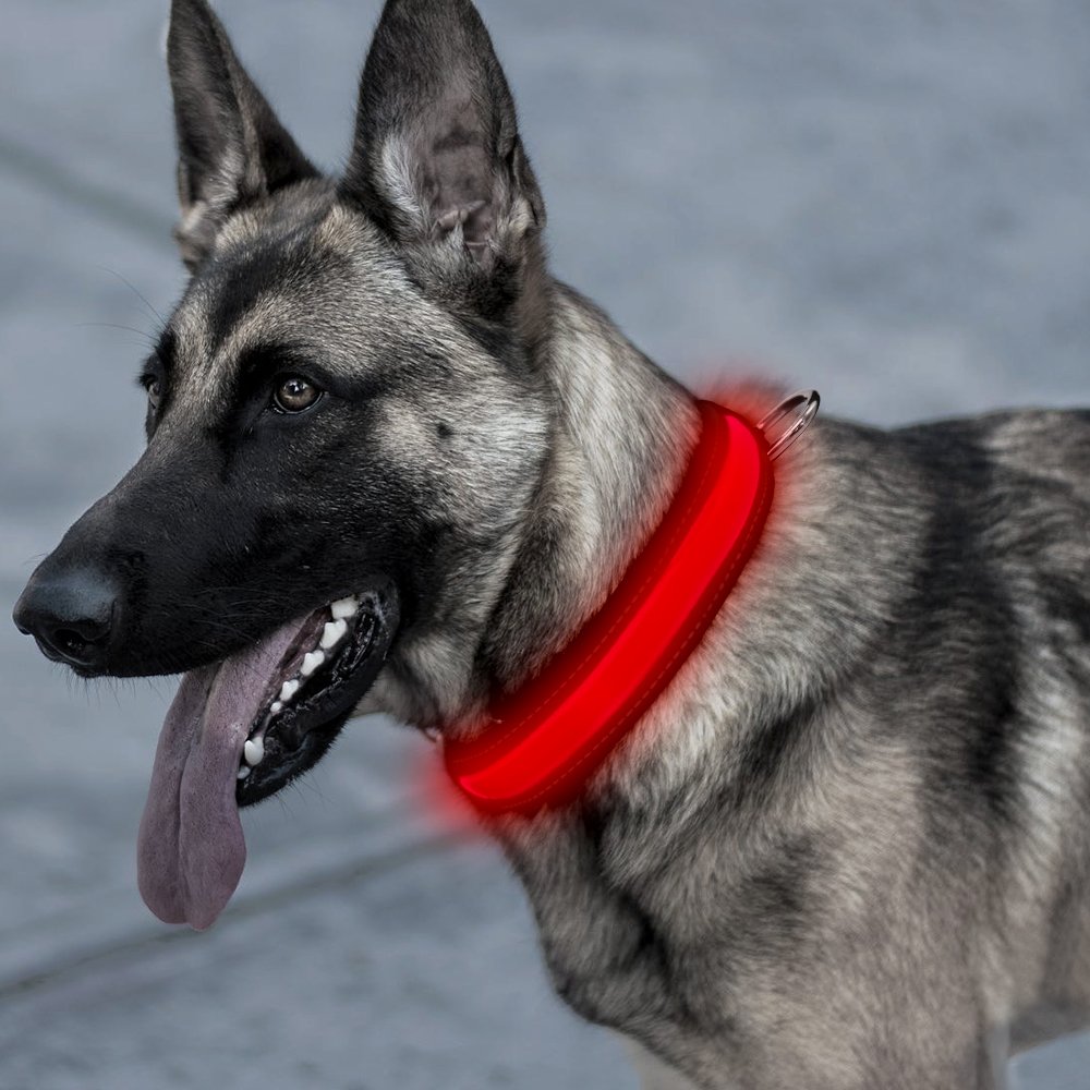 Higo LED Dog Collar,USB Rechargeable,Light Up Adjustable Nylon Fabric Reflective Led Pet Collar (L, Pink)