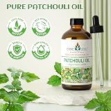 EVOKE OCCU Patchouli Essential Oil 118ml Pure Patchouli Oil Indonesian view 8