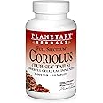 Planetary Herbals Coriolus Full Spectrum 1000mg, Powerful Cellular Immunity PF0737 Natural 90 Count (Pack of 1)