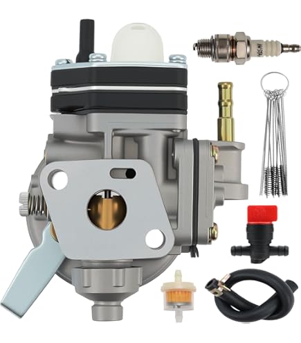 Amazon.com: C·T·S Carburetor Inlet Needle Valve for TK Carburetor
