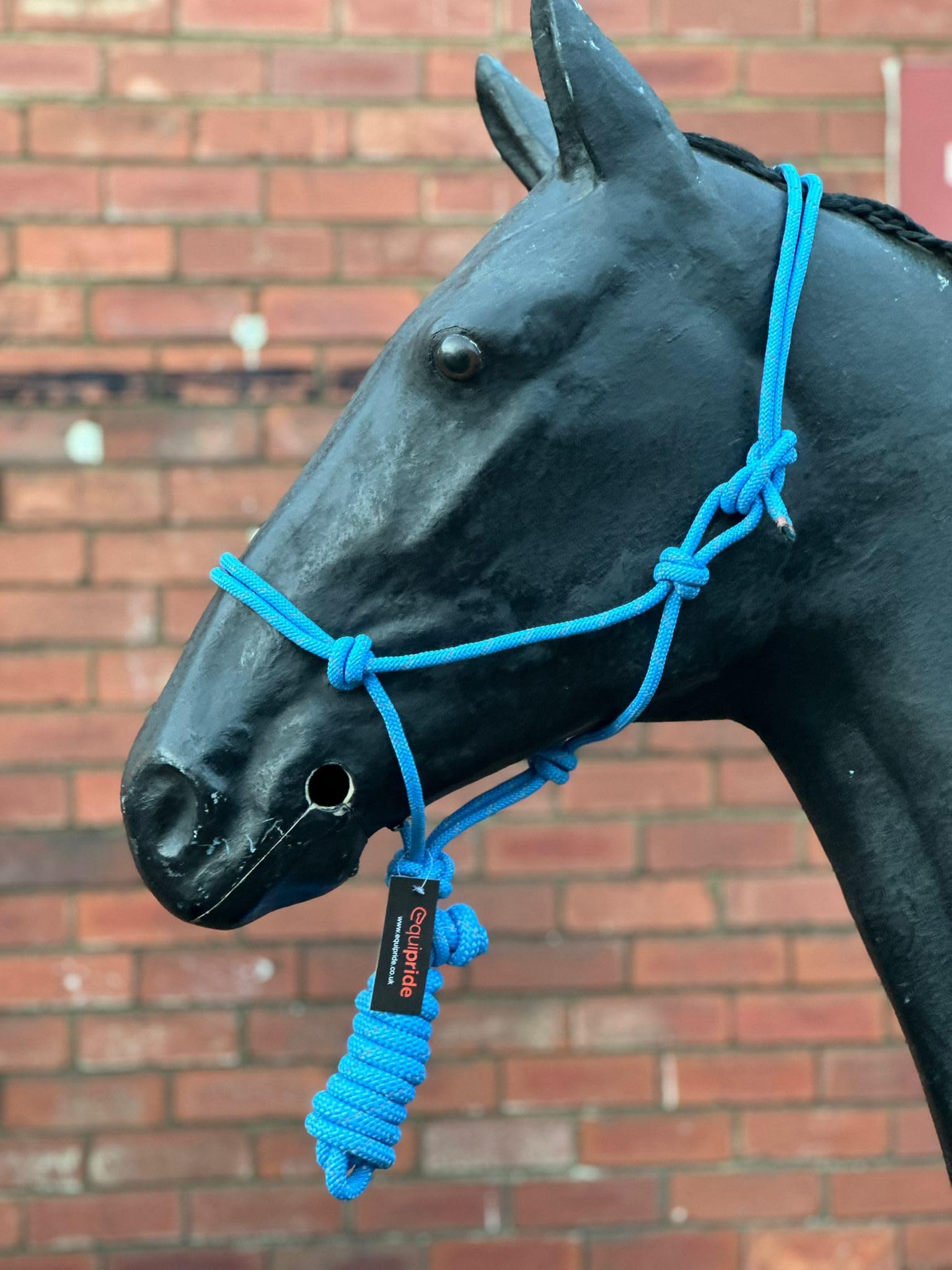 Hi-Viz Reflective Rope Headcollar with Lead Rope Se Fully Adjustable (Shetland, Baby Blue)