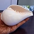 Genuine Blowing Shankh (VAMAVARTI BAJNEWALA) 4"inch - Conch Shell - Vamavarti Blowing Dattatreya Shankh (White) Shankha Conch Shell - Puja Ritual Shankhnaad Religious Sound - Plain Pooja Shankh