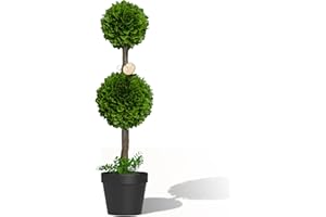 Barnyard Designs 3ft (36”) Artificial Boxwood Topiary Ball Plant, Front Porch Home Decor, Faux Fake Plant Decoration, (Single)