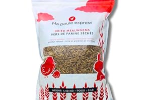 3 Lbs / 1,36Kg Ma Poule Express Dried Mealworms for Wild Birds etc. Approx. 48,000 Mealworms
