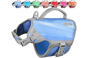 VIVAGLORY Neoprene Dog Life Vest, Dog Life Jacket for Swimming & Boating, Lightweight & Buoyancy for Puppy Doggy, Swimming Vest with Handle, XS, Blue Wave