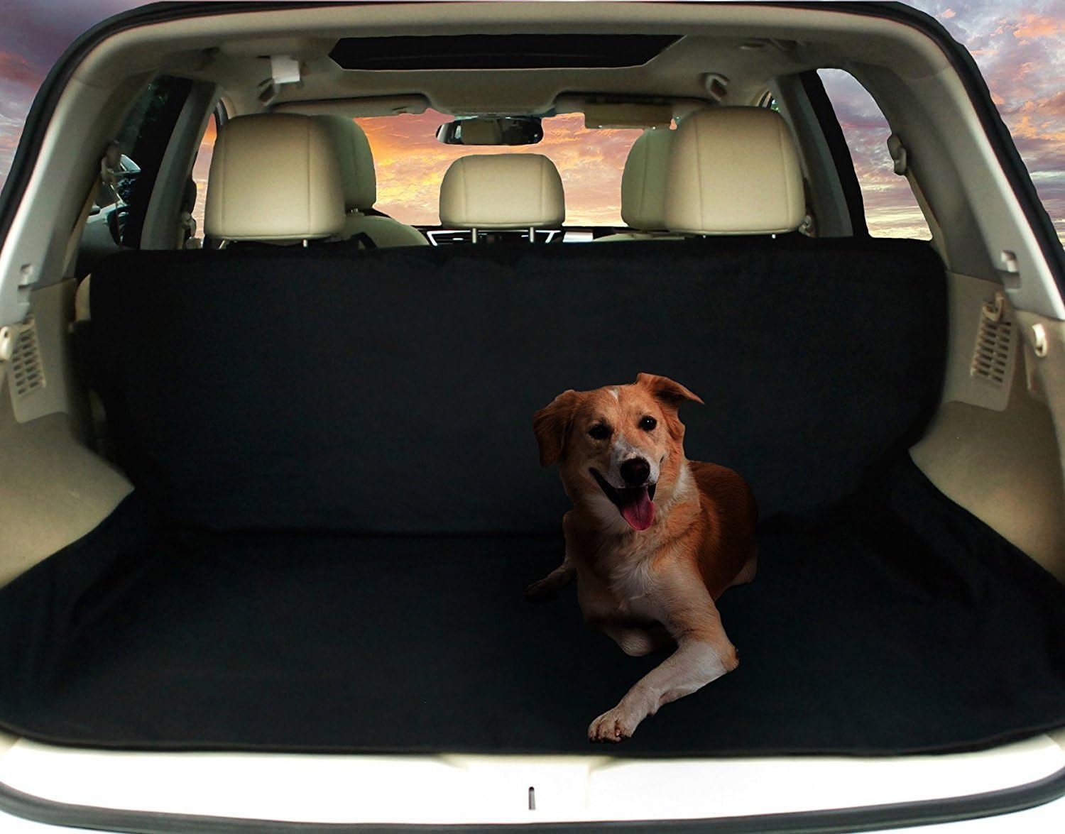 Best dog car seat cover for lincoln mkx