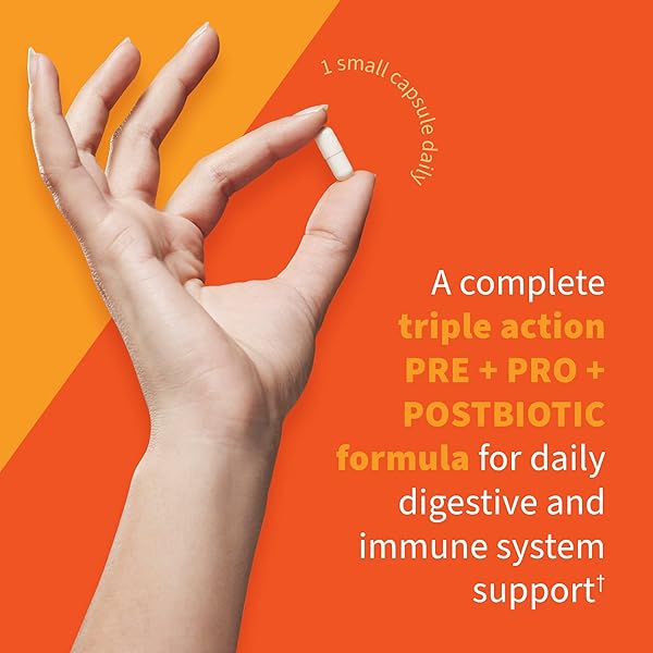 GARDEN OF LIFE DR FORMULATED ONCE DAILY 3-IN-1 COMPLETE PROBIOTICS, PREBIOTICS & POSTBIOTICS – PRE + PRO + POSTBIOTIC SUPPLEMENT FOR ADULTS’ DIGESTIVE & IMMUNE HEALTH, 30 BILLION CFU, 30 DAY SUPPLY