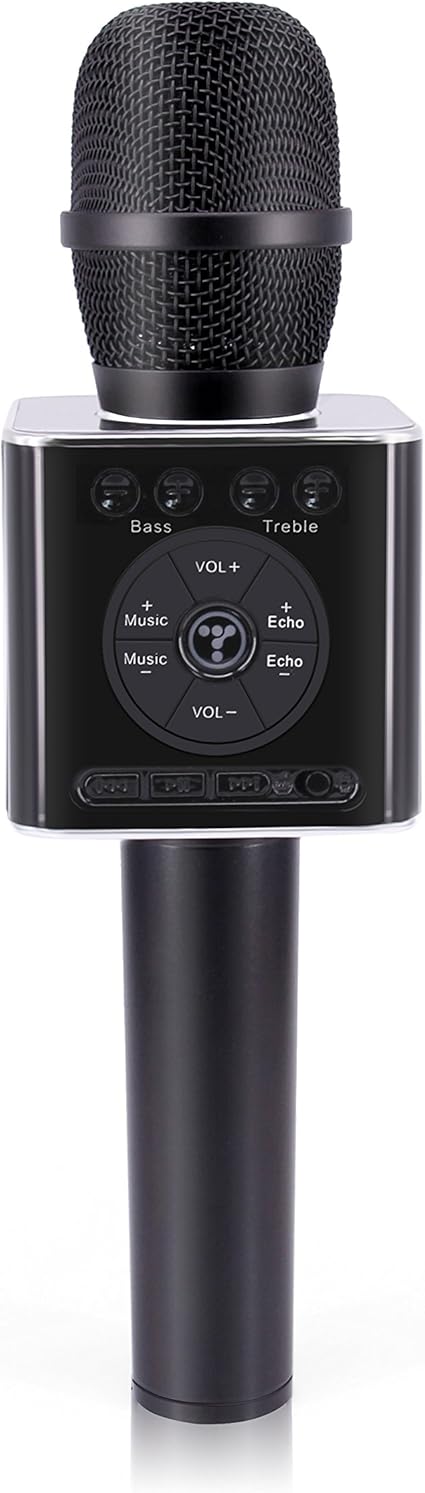 2 in 1 microphone and speaker