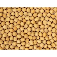 Premium Grade Non-GMO Soybeans Bulk Great Price (5 Pounds)