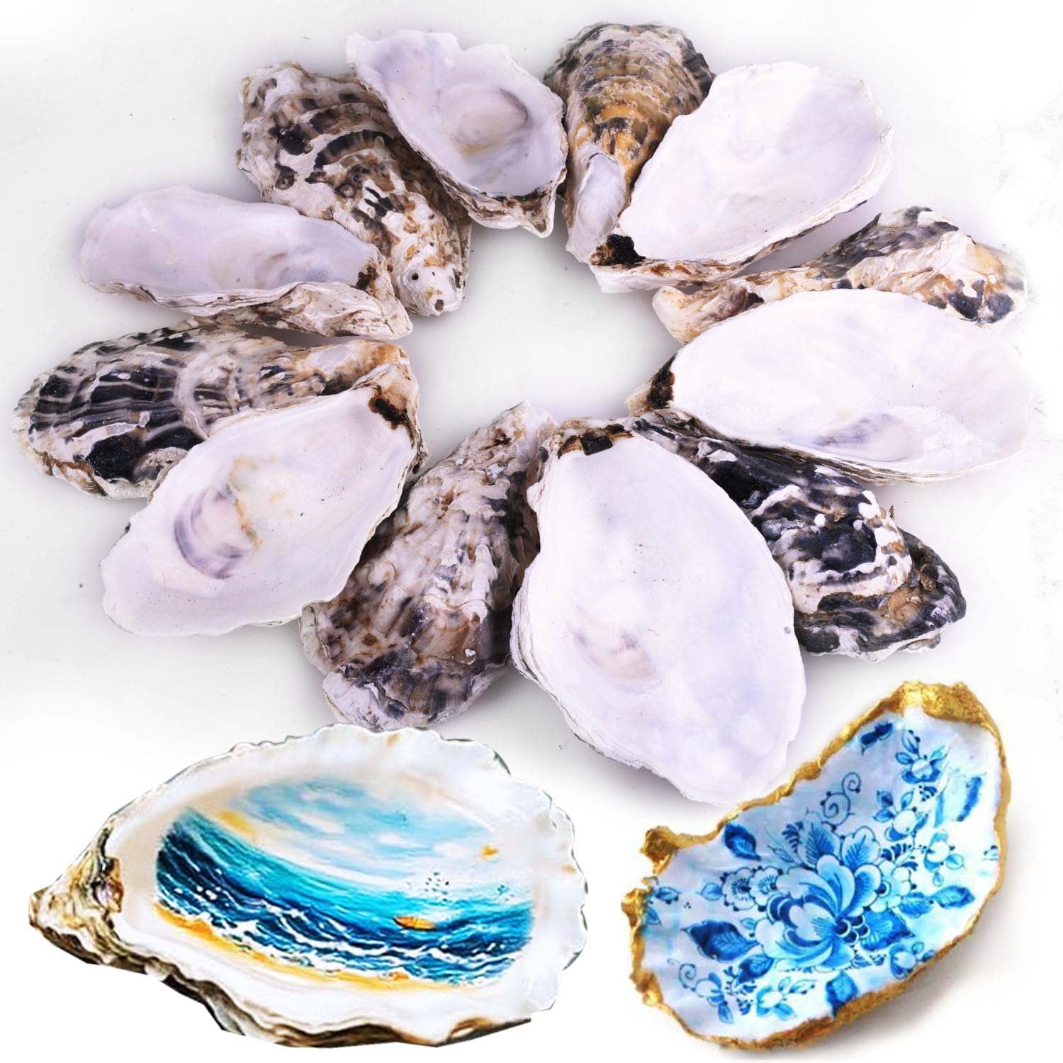 Photo 1 of 12Pcs 3"-4" Oyster Shells for Crafts Natural Large Oyster Shells for DIY Crafting Christmas Ornaments Decoupage Beach Decor Arts and Crafts Bulk Clam for Chicken