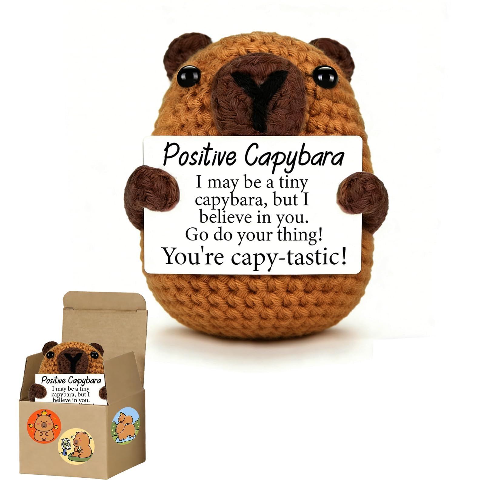 Positive Crochet Capybara Gifts, Capybaras Crochet Positive Gifts, Capybara Emotional Support Gift, Crochets Capybaras Inspirational for Women for Friend Family Encouragement