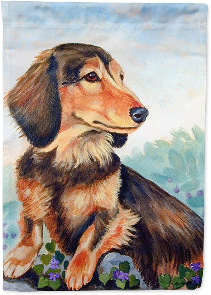 Amazon Com Caroline S Treasures 7023gf Dachshund Chocolate And