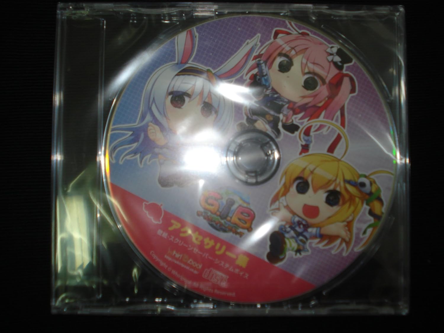 Amazon Co Jp G I B ガールズ イン ブラック アクセサリー集 特典cd ホビー 通販
