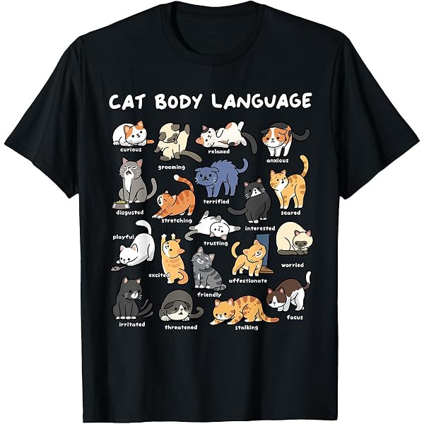 Amazon.com: Cat Lover Gifts Behold a Meowtain Cute Kitty Cats