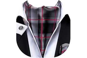 Dubulle Paisley Floral Ascot Tie for Men Self Tie Mens Cravat Tie and Pocket Square Cufflinks Wedding