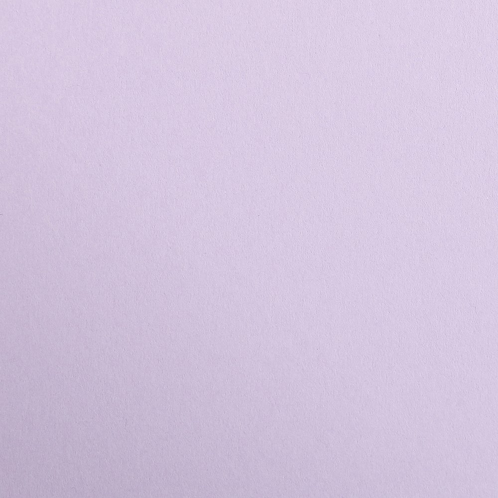 Clairefontaine - Ref 397277C - Maya Coloured Drawing Paper (Pack of 12 Sheets) - 270gsm Paper - 50 x 70cm - Lilac Colour - Deep Dyed, Acid Free, pH Neutral