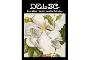 Ehret & Haid London Botanical Illustrations