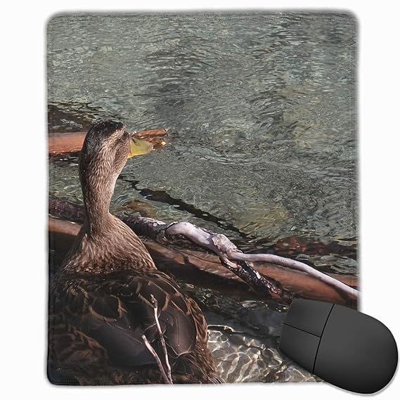 Duck Mountain Stream Nature Mouse Pad Non Slip Rubber Backing Gaming Mouse Pad 9.8x12 Inch(25cm*30cm)